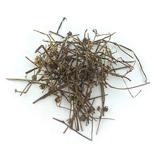 白花蛇舌草(统段)