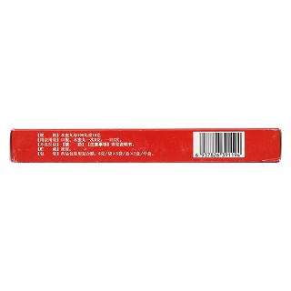 锁阳固精丸(6g*10袋/盒)