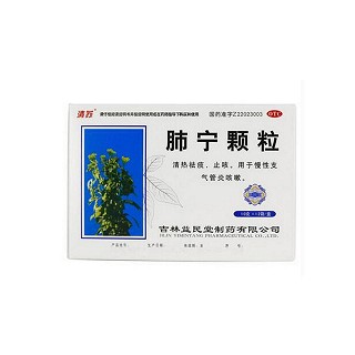 肺宁颗粒(益民堂)