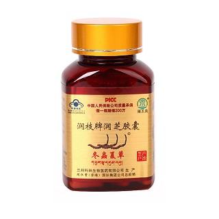 藥王泉 润枝牌润芝胶囊(龙越)