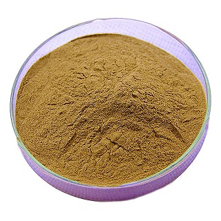 森弗 绿咖啡豆提取物(100g)