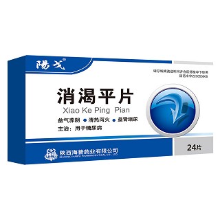 消渴平片(海普)