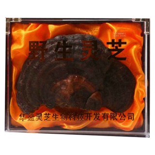 仙草灵福康野生赤灵芝(华益)