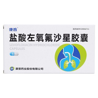 盐酸左氧氟沙星胶囊价格