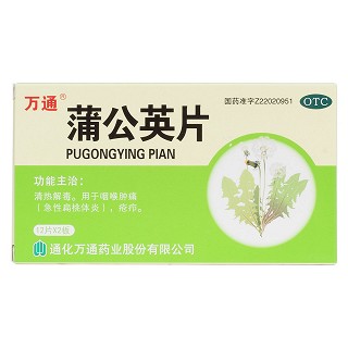 蒲公英片价格