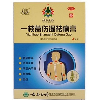 一枝蒿伤湿祛痛膏(白药西双版纳制)