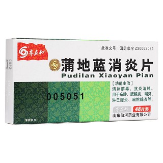 蒲地蓝消炎片(齐应和)