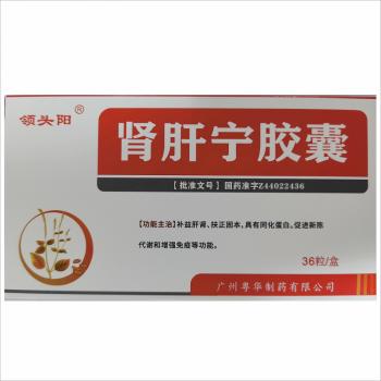 肾肝宁胶囊(领头阳)