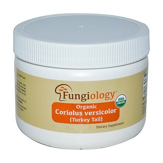 fungiology 有机采绒革盖菌(云芝)