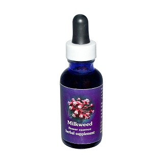 flower essence services milkweed花精华(essence)