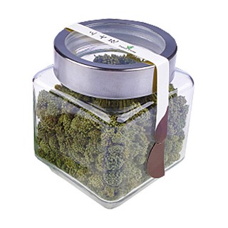 芳华百味三七花(贺源康)