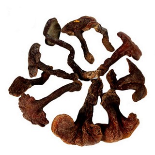 一品仙芝 味微苦红灵芝 400克(华仙)