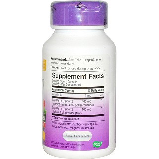 natures way goji berry standardized(natures)