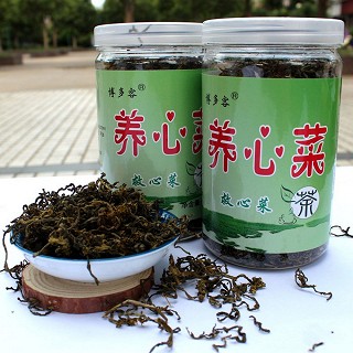 博多客 心菜茶 救心菜 平卧菊(400克)