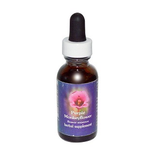 flower essence services 紫色的毛酸浆花精华(essence)