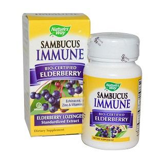 nature's way saw 接骨木花免疫系统含片(natures)