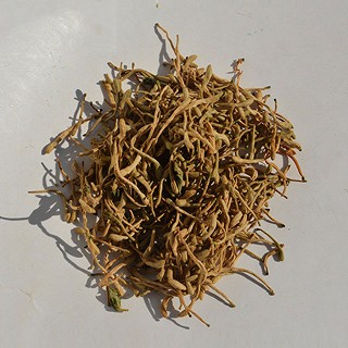 毫草 金银花 山东金银花茶 50g(大陆)