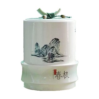 吉妮茗香福鼎白毫银针(新会冈州陈柑)