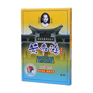 黄飞鸿远红外伤痛贴(跌打损伤型)
