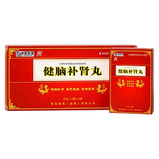健脑补肾丸(荣昌)
