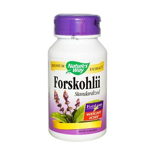 nature's way forskohlii standardized(natures)