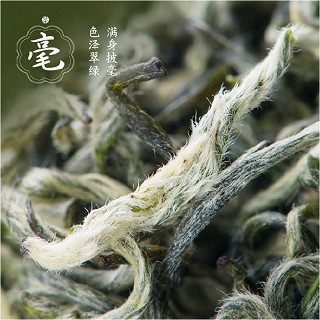 茶缘道 养生茶 红色明前碧螺春(茶缘道)