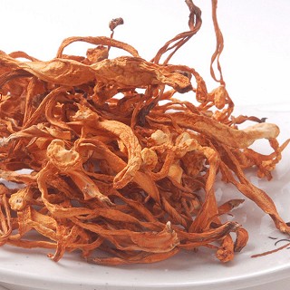 藏禧堂 精品大孢子头虫草花(阳光庄园农牧)