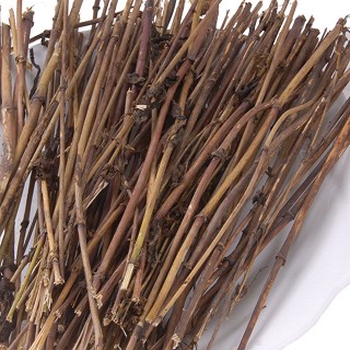 藏禧堂 尼泊尔野生精选藏茵陈 茵陈茶(阳光庄园农牧)