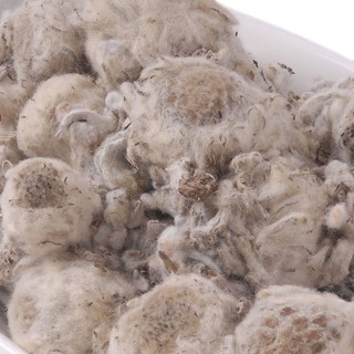 藏禧堂 野生白雪莲花(400克)