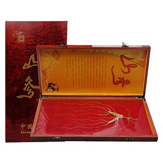 长白草堂 林下参 山参(20克)