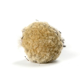 晶珠牌 臧雪莲25g (25克/盒)