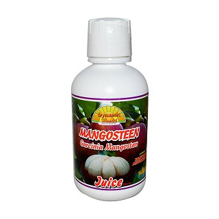dynamic health laboratories 山竹混合精华果汁(health)