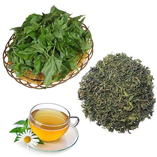 兴蚕 兴宁客家特产 桑叶茶(国锋)
