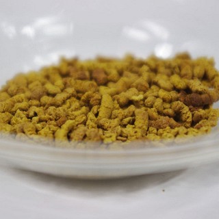 彝乡人 保健茶 全株黑苦荞茶 500克(森景实业)