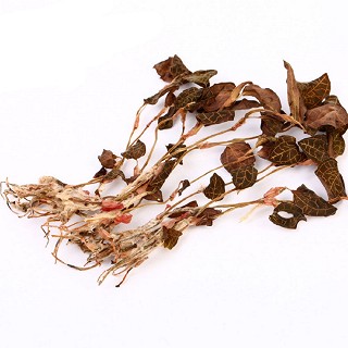 习礼 金线莲茶(习礼)