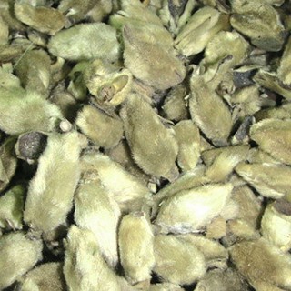 雪域满江 辛夷花(50克)