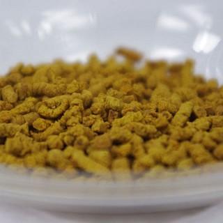 彝乡人 养生茶 高寒苦荞茶(森景实业)