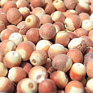 雪域满江 芡实米 750克装(雪域满江)