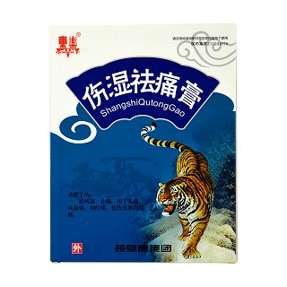 伤湿祛痛膏(东乐)