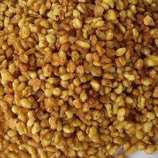 苦荞(雪域满江)