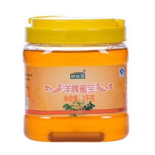 健颐源 洋槐蜂蜜(健颐源)