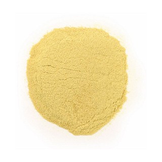 frontier natural products 营养酵母迷你片(frontier)