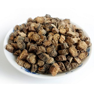 蓝翼 黄金牛蒡茶(赛纳)