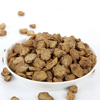 蓝翼 黄金牛蒡茶(赛纳)