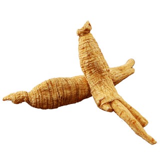 礼顺堂 西洋参 花旗参(原枝)