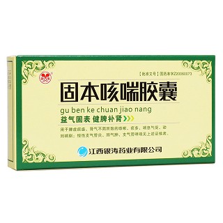 固本咳喘胶囊(银涛)