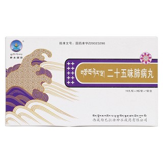 二十五味肺病丸价格