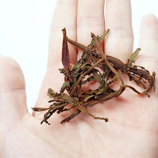 吉顺号 景迈古树 云南普洱(50克)