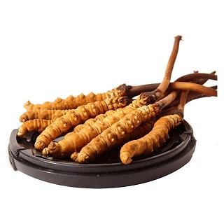 海瑞诗特 青海玉树 野生冬虫夏草(14g)