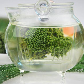 吉顺号 三七花茶 300克装(吉顺号)